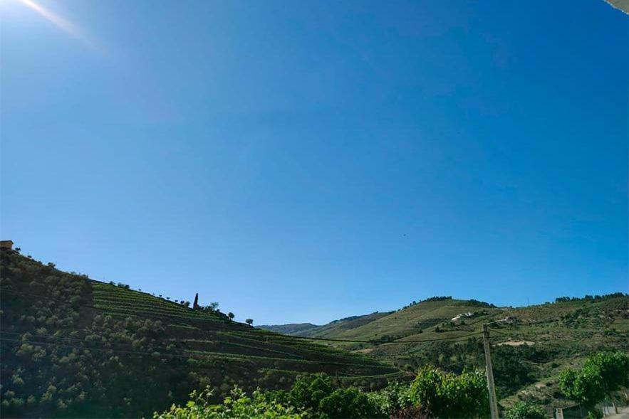 فيلا Helena'S Family House Pinhão المظهر الخارجي الصورة